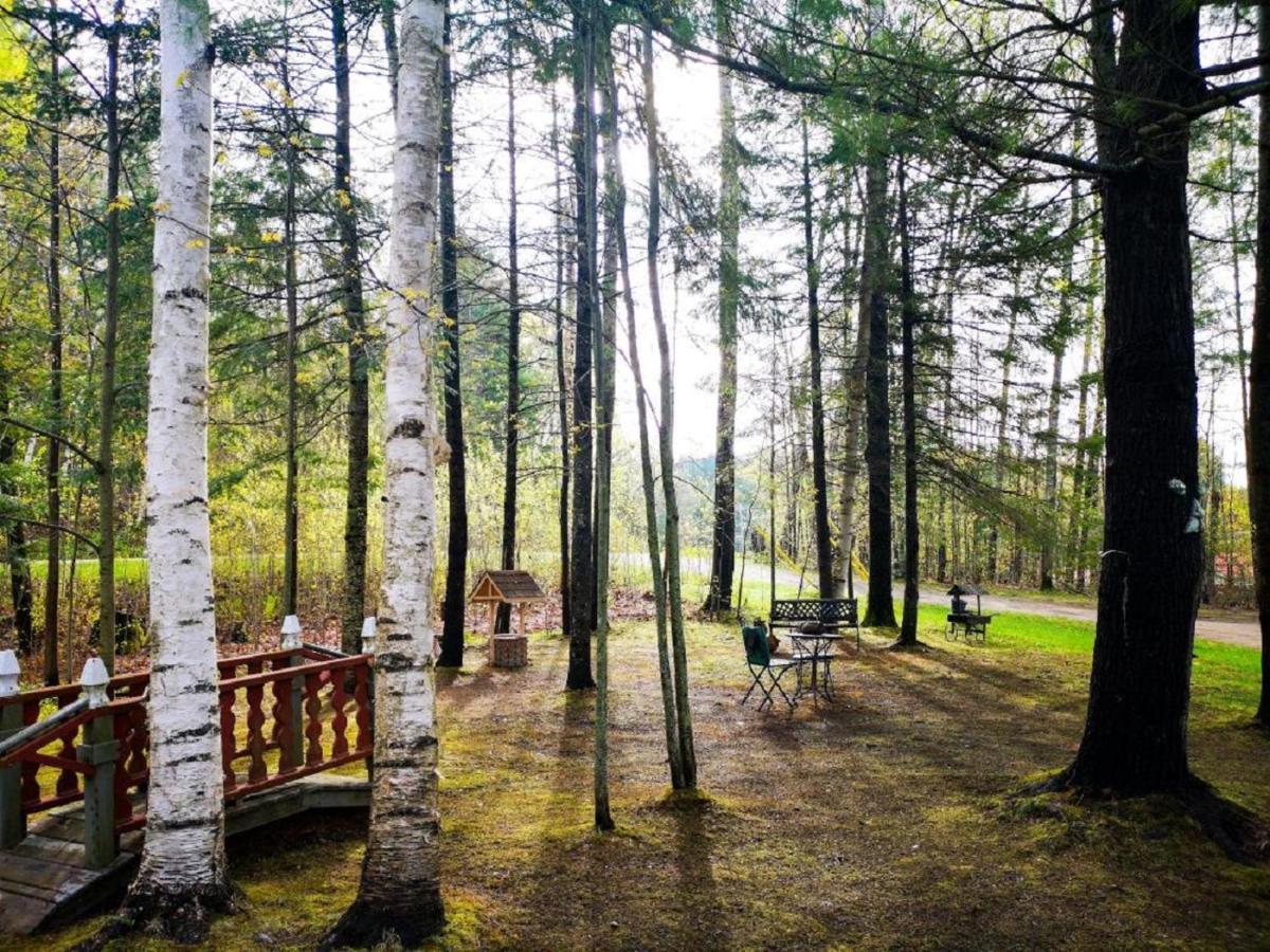 Suite In The Bush-Private Apartment 밴크로프트 외부 사진